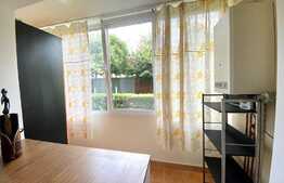 Apartament 1 camera,48 mp, dresing, zona strazii Aleea Bizusa, Gheogheni. 