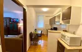 Apartament 1 camera,48 mp, dresing, zona strazii Aleea Bizusa, Gheogheni. 