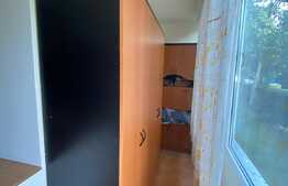 Apartament 1 camera,48 mp, dresing, zona strazii Aleea Bizusa, Gheogheni. 