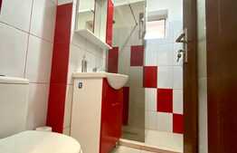 Apartament 1 camera,48 mp, dresing, zona strazii Aleea Bizusa, Gheogheni. 