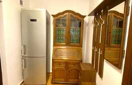 Apartament 1 camera,48 mp, dresing, zona strazii Aleea Bizusa, Gheogheni. 