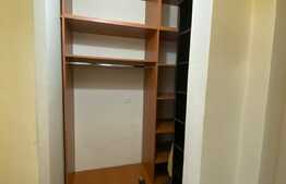 Apartament 1 camera,48 mp, dresing, zona strazii Aleea Bizusa, Gheogheni. 