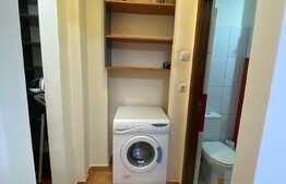 Apartament 1 camera,48 mp, dresing, zona strazii Aleea Bizusa, Gheogheni. 