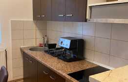 Apartament 1 camera,48 mp, dresing, zona strazii Aleea Bizusa, Gheogheni. 