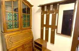 Apartament 1 camera,48 mp, dresing, zona strazii Aleea Bizusa, Gheogheni. 