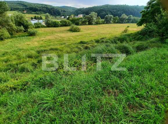 Teren de vânzare Exterior Sud - 53008TV | BLITZ Cluj-Napoca | Poza4