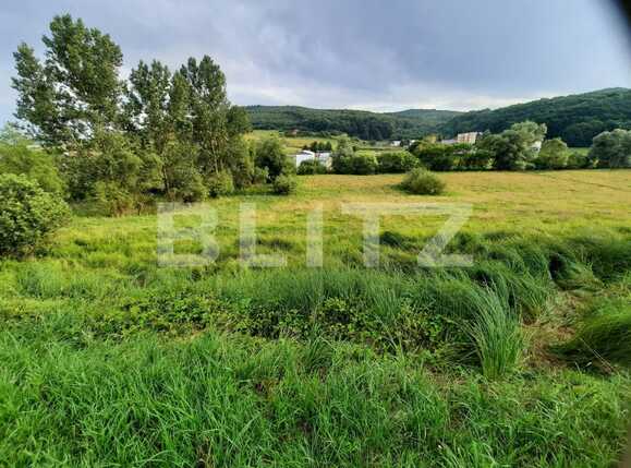 Teren de vânzare Exterior Sud - 53008TV | BLITZ Cluj-Napoca | Poza3