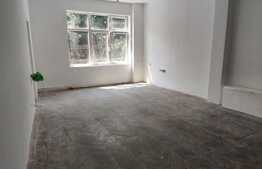 URGENT! Apartament cu 1 camera, 55,5mp + parcare, zona Horea