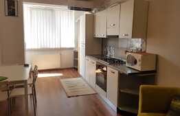 Apartament 2 camere, parcare cu CF, etaj intermediar, AC! Zona strazii Florilor!