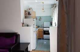 Apartament cu o camera, 33 mp, zona strazii Fantanele