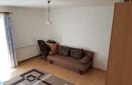 Apartament cu o camera, 33 mp, zona strazii Fantanele