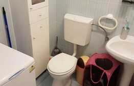 Apartament cu o camera, 33 mp, zona strazii Fantanele