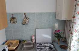 Apartament cu o camera, 33 mp, zona strazii Fantanele