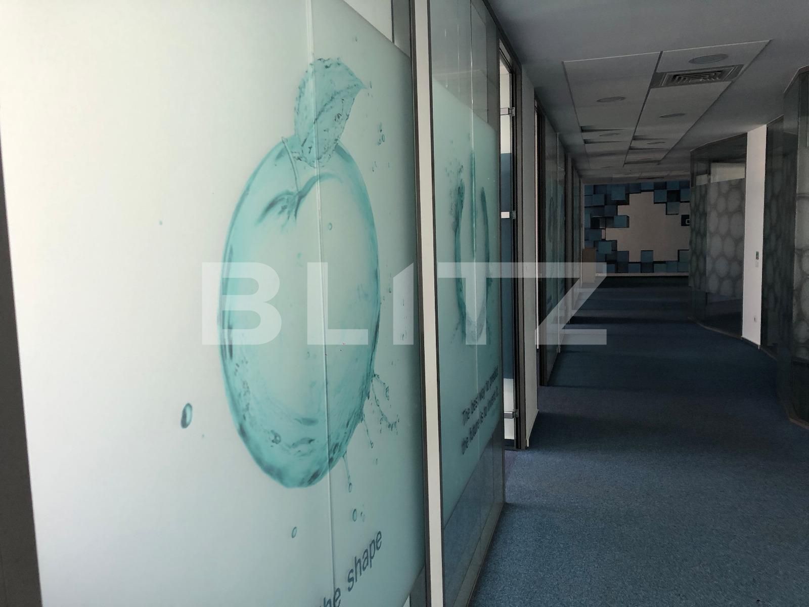 Spațiu birouri de închiriat Marasti - 53045SIB | BLITZ Cluj-Napoca | Poza6