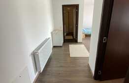 Apartament cu 1 camera, 41 mp, intermediar, parcare,mobilat utilat, zona strazii Cetatii