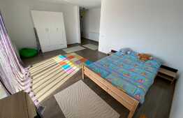 Apartament cu 1 camera, 41 mp, intermediar, parcare,mobilat utilat, zona strazii Cetatii