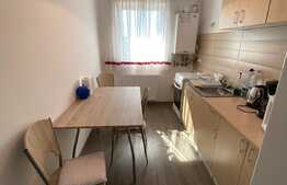 Apartament cu 1 camera, 41 mp, intermediar, parcare,mobilat utilat, zona strazii Cetatii
