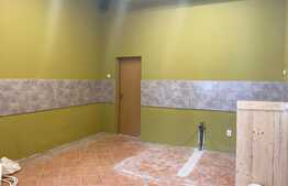 Spatiu comercial, 60 mp, la parter in zona Parcului Central