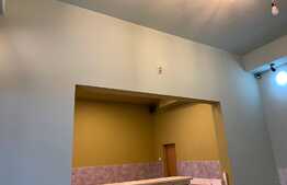 Spatiu comercial, 60 mp, la parter in zona Parcului Central