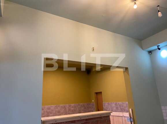 Spațiu comercial de închiriat Central - 53075SIC | BLITZ Cluj-Napoca | Poza5