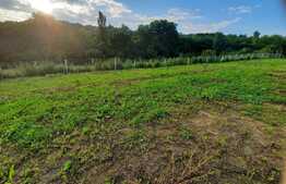 Teren intravilan 1006 mp, Valcele