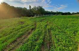 Teren intravilan 1006 mp, Valcele