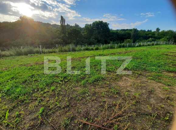 Teren de vânzare Exterior Sud - 53086TV | BLITZ Cluj-Napoca | Poza1