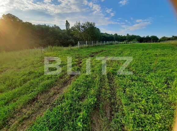 Teren de vânzare Exterior Sud - 53086TV | BLITZ Cluj-Napoca | Poza2