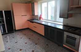 Zona Parcului Central