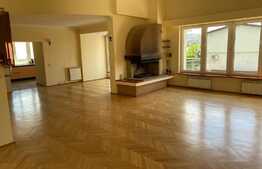 Zona Parcului Central