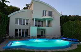 Zona Parcului Central