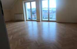 Zona Parcului Central