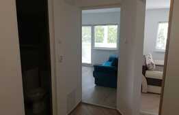 Apartament 3 camere, decomandat, prima inchiriere, 65 mp, zona Kaufland Manastur