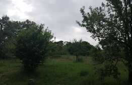 Casa veche cu teren 2970 mp intravilan, Feleac