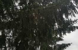 Casa veche cu teren 2970 mp intravilan, Feleac