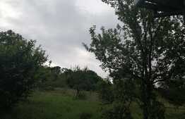 Casa veche cu teren 2970 mp intravilan, Feleac