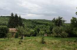 Casa veche cu teren 2970 mp intravilan, Feleac