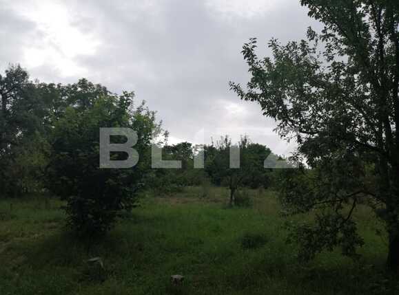 Casa de vânzare 2 camere Exterior Sud - 53099CV | BLITZ Cluj-Napoca | Poza8