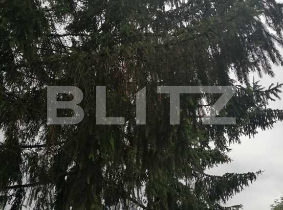 Casa de vânzare 2 camere Exterior Sud - 53099CV | BLITZ Cluj-Napoca | Poza10