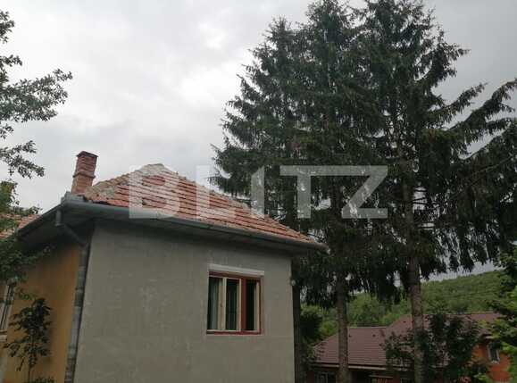 Casa de vânzare 2 camere Exterior Sud - 53099CV | BLITZ Cluj-Napoca | Poza1