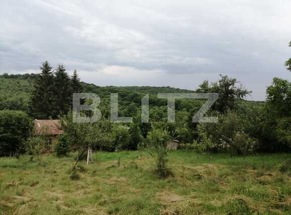 Casa de vânzare 2 camere Exterior Sud - 53099CV | BLITZ Cluj-Napoca | Poza11