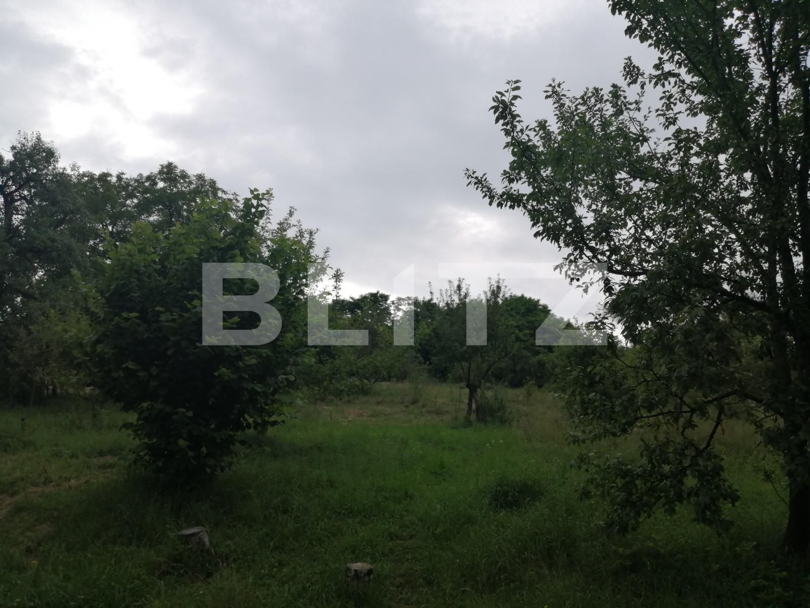 Casa de vânzare 2 camere Exterior Sud - 53099CV | BLITZ Cluj-Napoca | Poza8