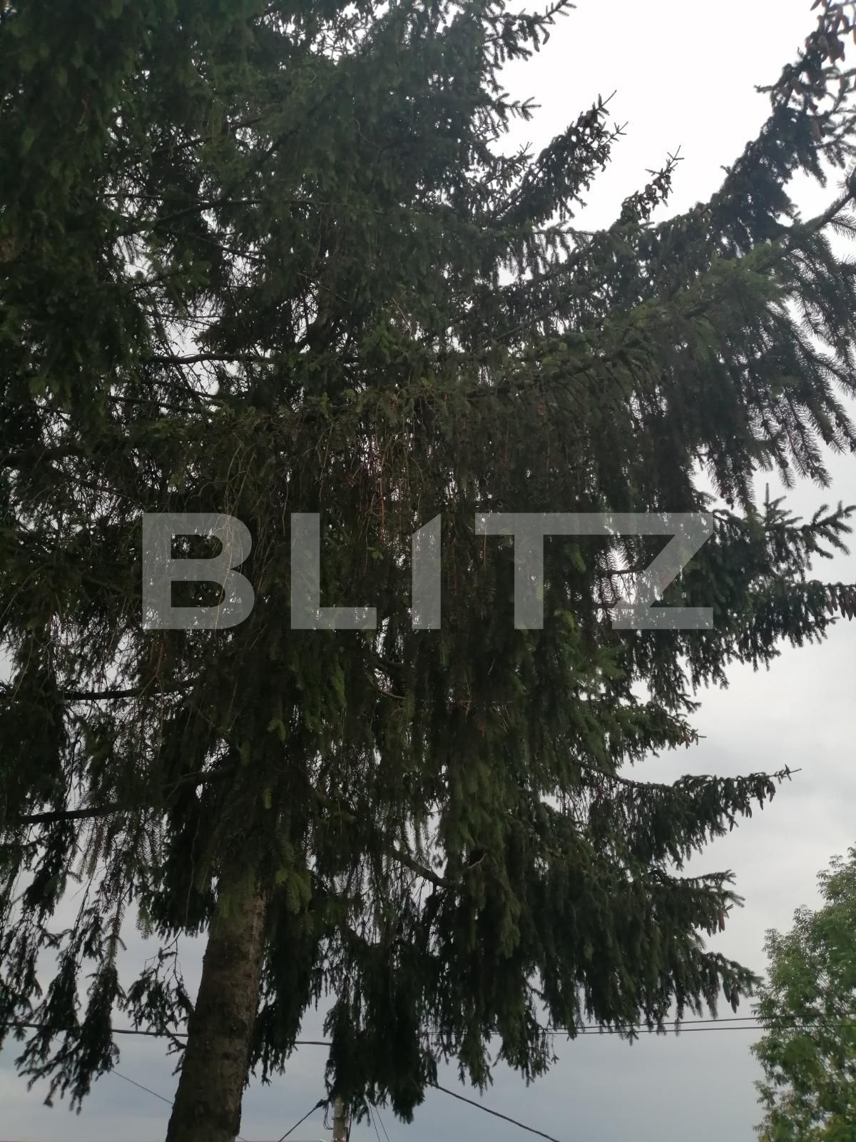 Casa de vânzare 2 camere Exterior Sud - 53099CV | BLITZ Cluj-Napoca | Poza10