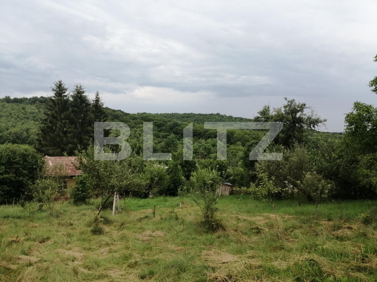 Casa de vânzare 2 camere Exterior Sud - 53099CV | BLITZ Cluj-Napoca | Poza11