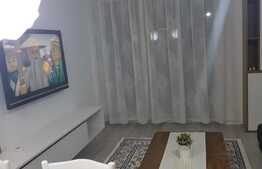 Apartament cu 2 camere, 56 mp , modern, loc de parcare, aer conditionat, zona strazii Trifoiului 
