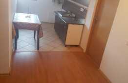 Apartament 2 camere, 56 mp, pet friendly, zona Sub Cetate