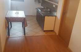 Apartament 2 camere, 56 mp, pet friendly, zona Sub Cetate