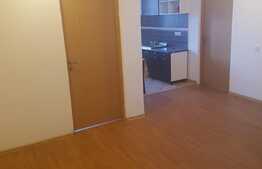 Apartament 2 camere, 56 mp, pet friendly, zona Sub Cetate