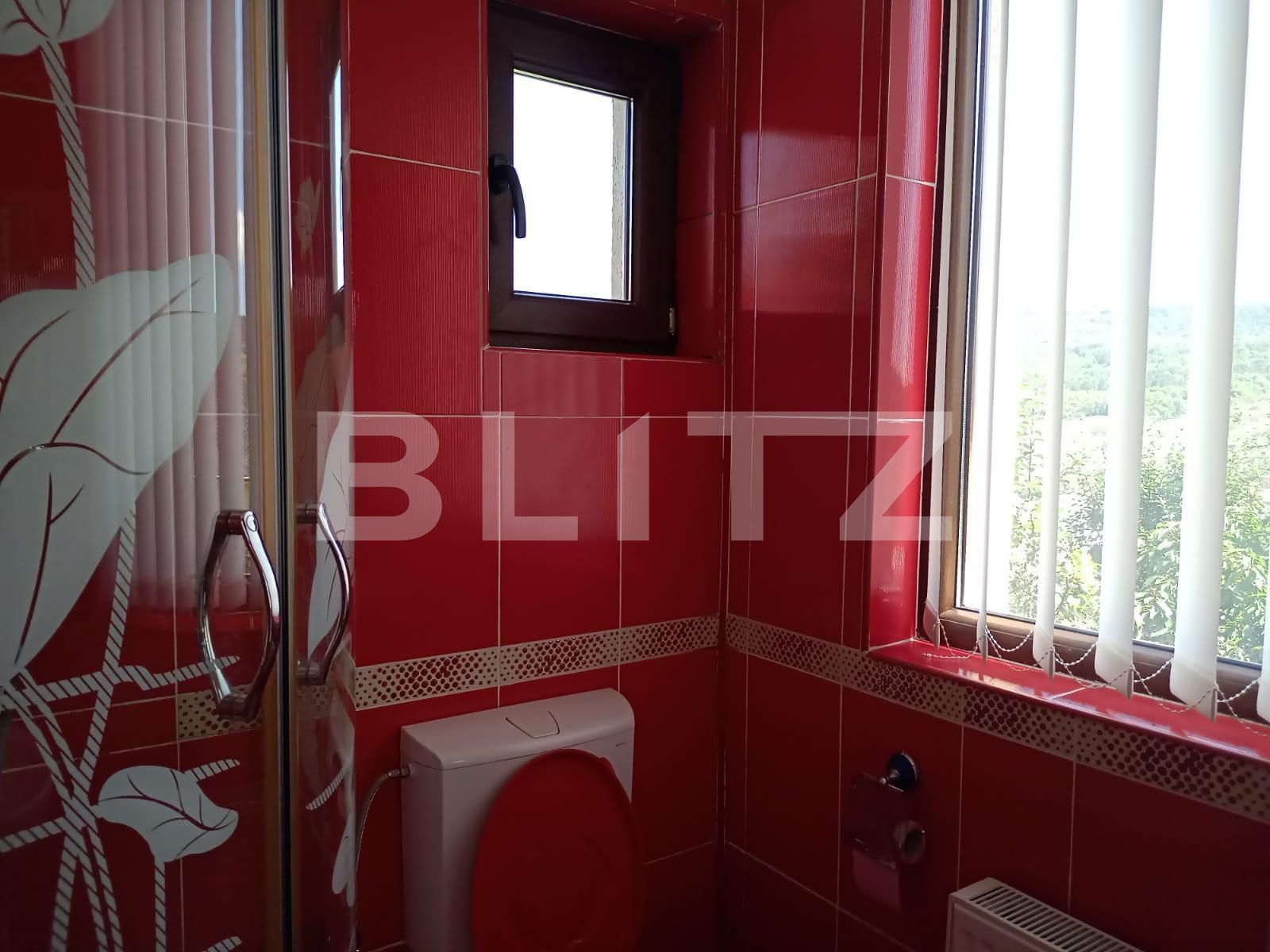 Casa de vânzare 6 camere Iris - 53111CV | BLITZ Cluj-Napoca | Poza12