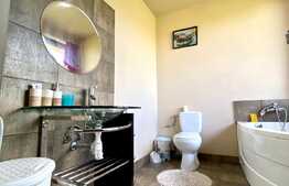 Apartament 1 camera, open space, 40 mp, zona strazii Plopilor